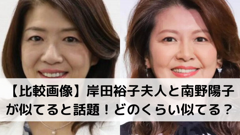 【比較画像】岸田裕子夫人と南野陽子が似てると話題！どのくらい似ている？