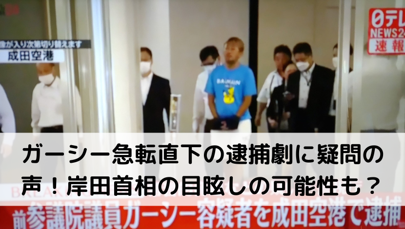 ガーシー急転直下の逮捕劇に疑問の声！岸田首相の目眩しの可能性も？